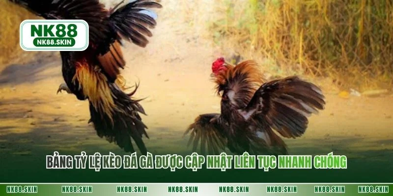 Bảng tỷ lệ kèo đá gà được cập nhật liên tục nhanh chóng