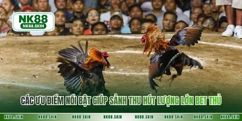 Các ưu điểm nổi bật giúp sảnh thu hút lượng lớn bet thủ