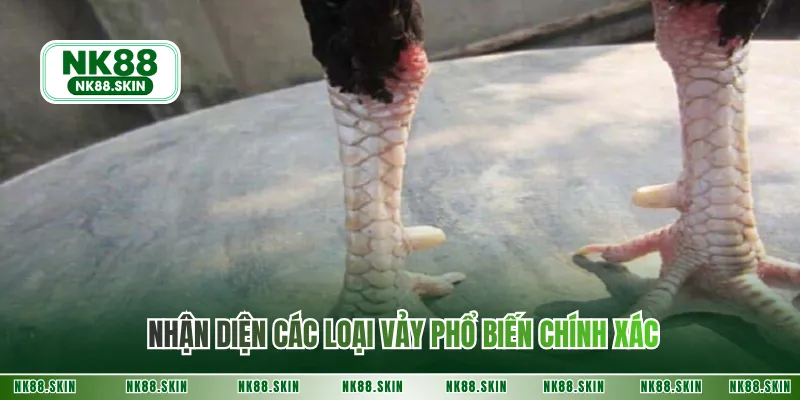 Nhận diện các loại vảy phổ biến chính xác