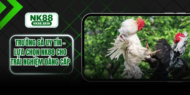 Trường gà Uy Tín - Lựa Chọn NK88 Cho Trải Nghiệm Đẳng Cấp